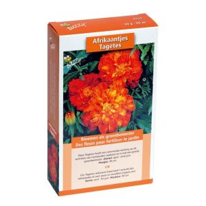 Buzzy Groenbemester Tagetes 50 gram (8) 881545 - Afbeelding 1