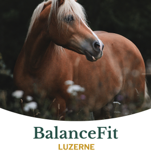 Metazoa BalanceFit Luzerne 15 kg - Afbeelding 1