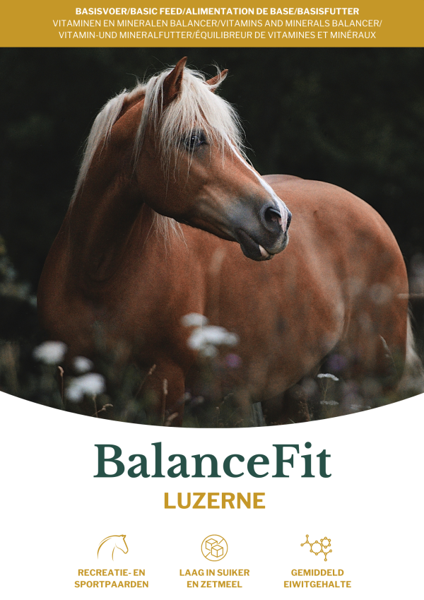 BalanceFit-Luzerne