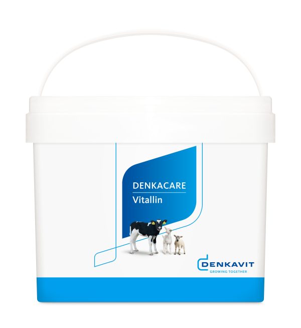 Bucket-Vitallin.jpg