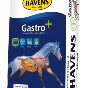 Havens Gastro + 20kg - Afbeelding 1