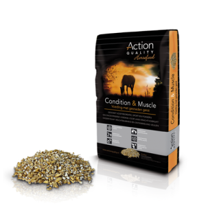 Action Condition & Muscle - Afbeelding 1
