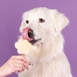 Honden ijs 160 gr Banaan - Afbeelding 3