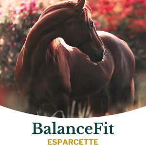 Metazoa BalanceFit Esparcette 15kg - Afbeelding 1