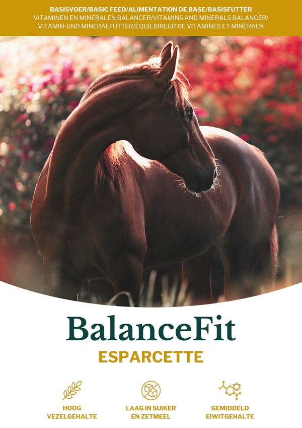 balancefit esparcette