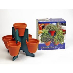 Buzzy 5-pots pyramide kruiden zaaiset - Afbeelding 1