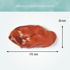 Antos Cerea Oor per stuk - Afbeelding 2