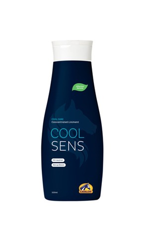 coolsens.jpg