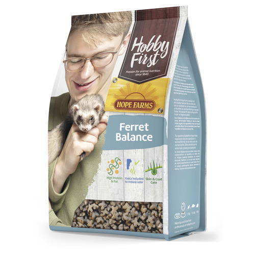 ferret-balance.jpg