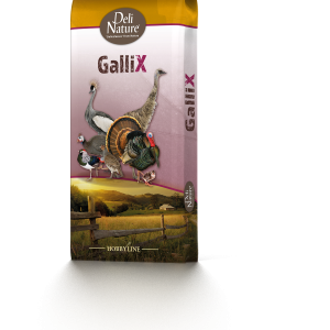 Deli Nature Gallix Ornamental Onderhoud Pellet 20kg - Afbeelding 1