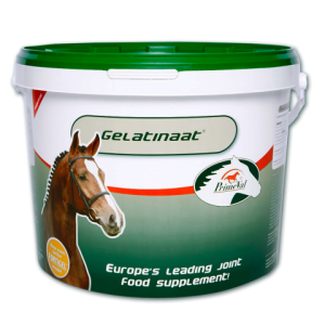 Primeval Gelatinaat Paard 5kg - Afbeelding 1