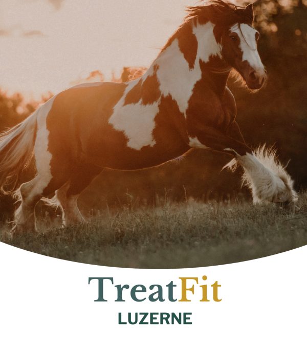 TreatFit