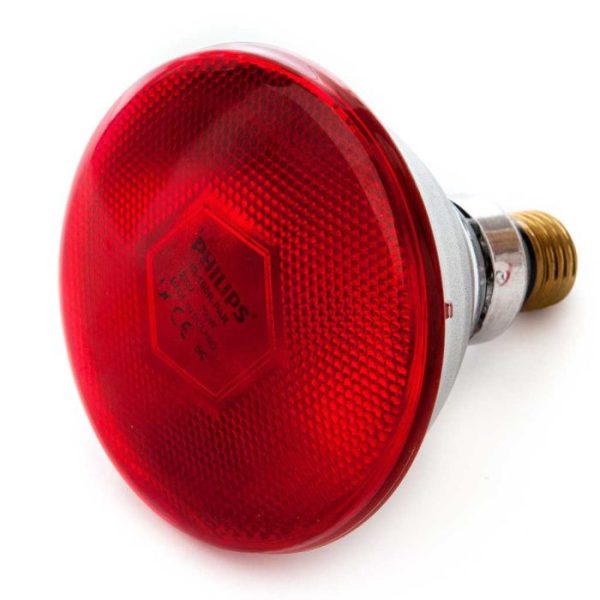kippenhuis-philips-par38-infrarood-warmtelamp-100w