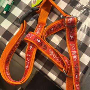 Duvo oranje harnas 0105225000 - Afbeelding 1