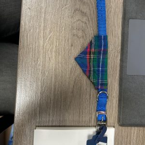 Halsband nylon+bandana 15mm 0914 - Afbeelding 1