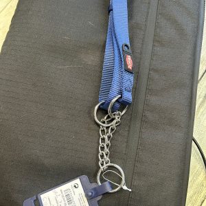 blauwe halsband 202813 - Afbeelding 1