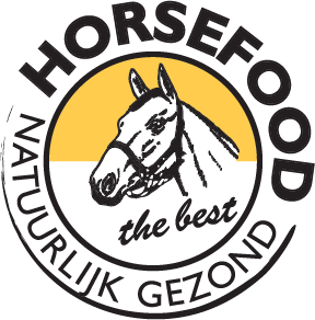 logo-1769421156
